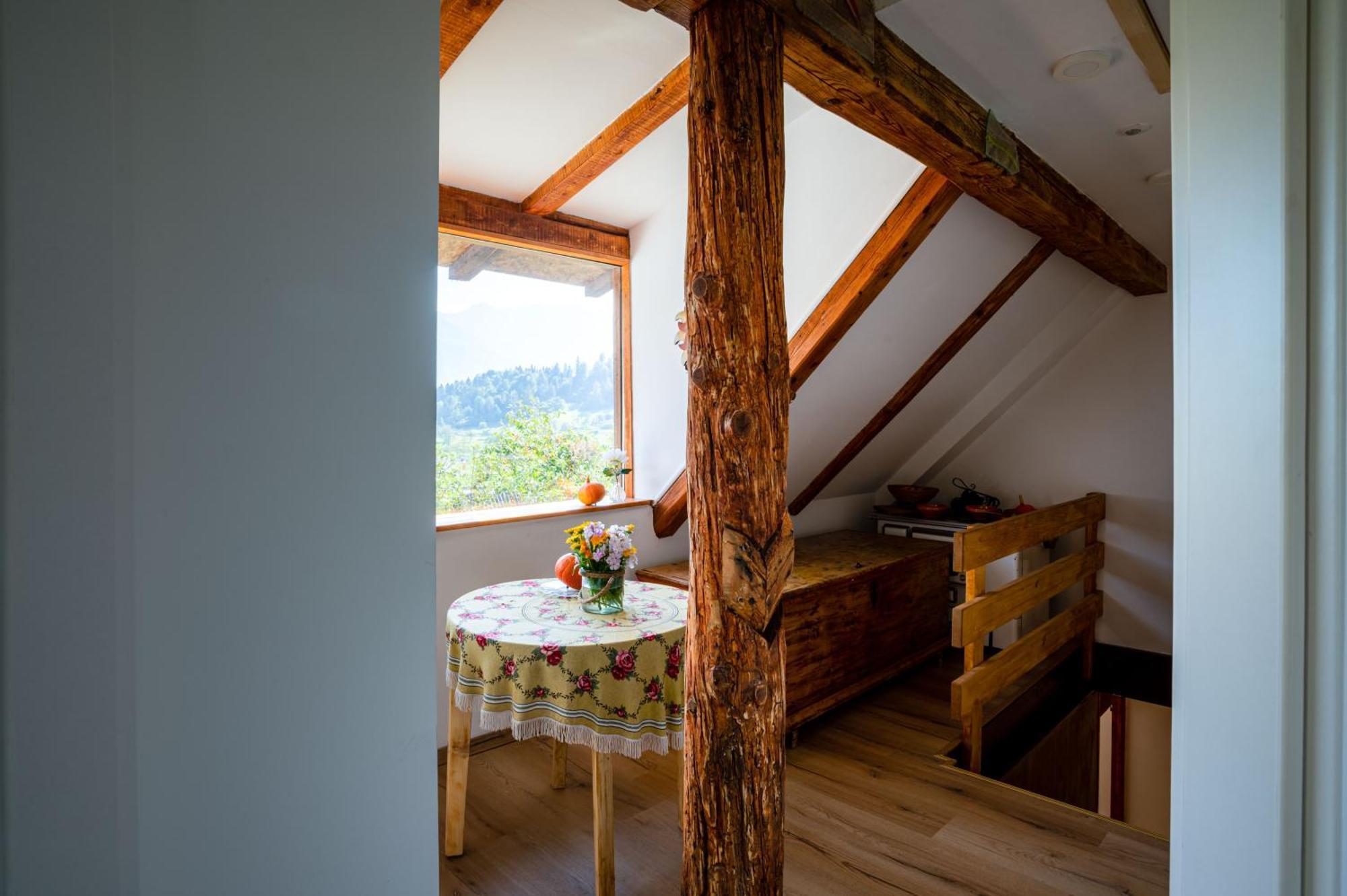 Panorama Apartment
